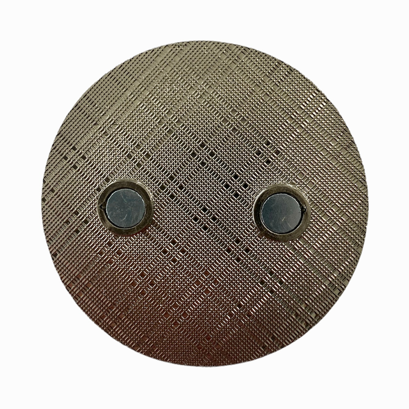 Paw Paw Tunnel Refrigerator Magnet