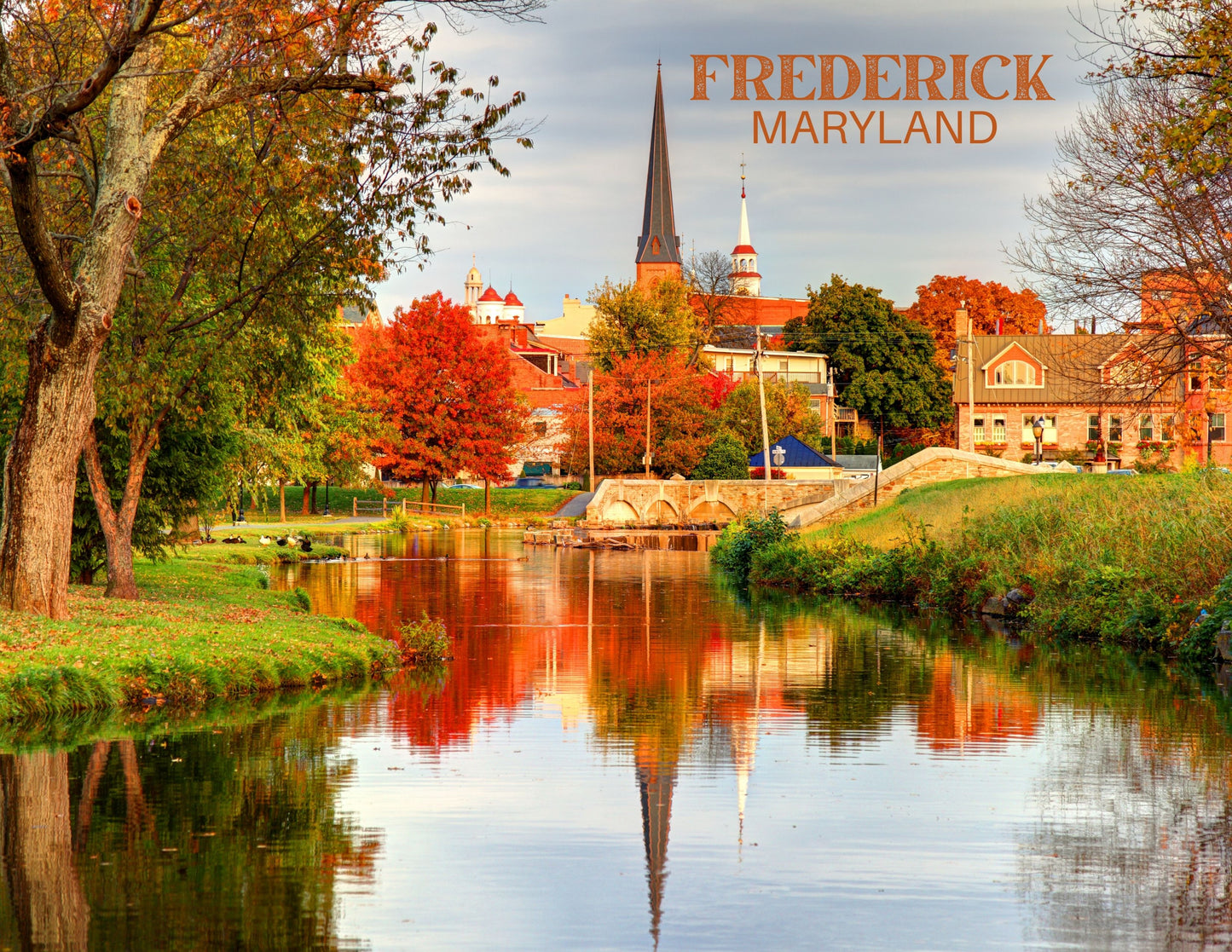 Frederick Spires Postcard