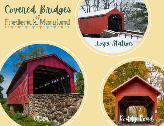 Frederick Covered Bridge Postcard